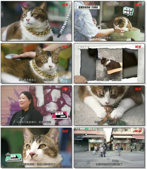 XunZhaoMiaoDGS.2.jpg